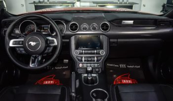 2019 Ford Mustang 5.0 – V8 / Manual Transmission / American Specs full